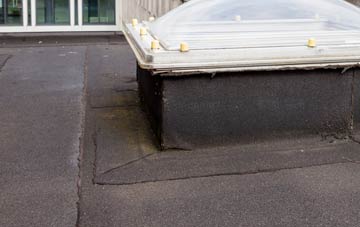 disadvantages of Fleming Field flat roofs