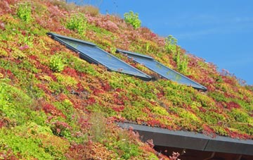 Fleming Field living roof systems